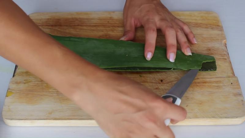 Cortando la hoja de aloe vera