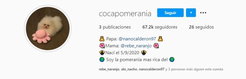 Raquel Argandoña presenta a nueva integrante de su familia