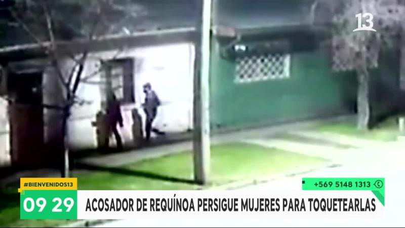 Acosador de Requínoa