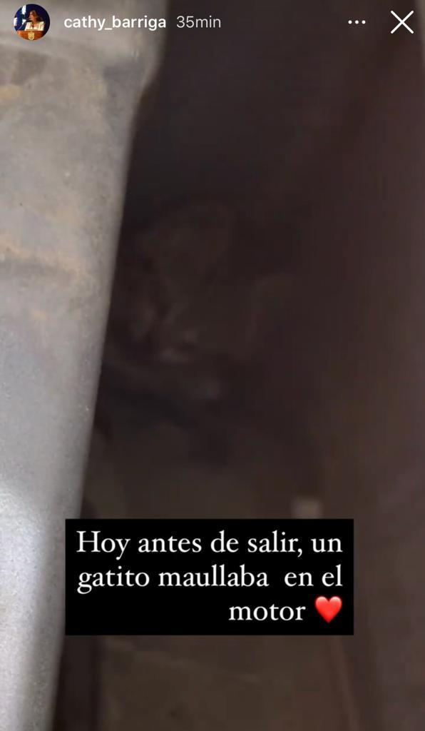 Joaquín Lavín y Miguelo son consuegros: Sus hijos se casaron