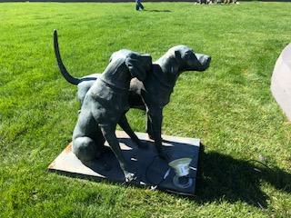 Cementerio de perros de Gladys Tobar