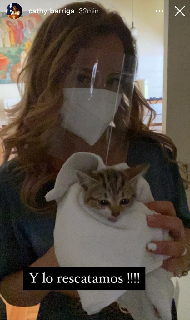 Cathy Barriga rescata a gato antes de asistir a matrimonio