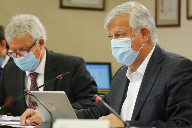 Gastón Saavedra proyecto bono