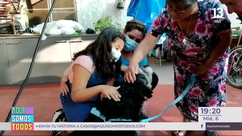 Encontramos a Pluto, el perrito perdido de la pequeña Amanda