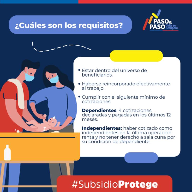 Requisitos Subsidio Protege