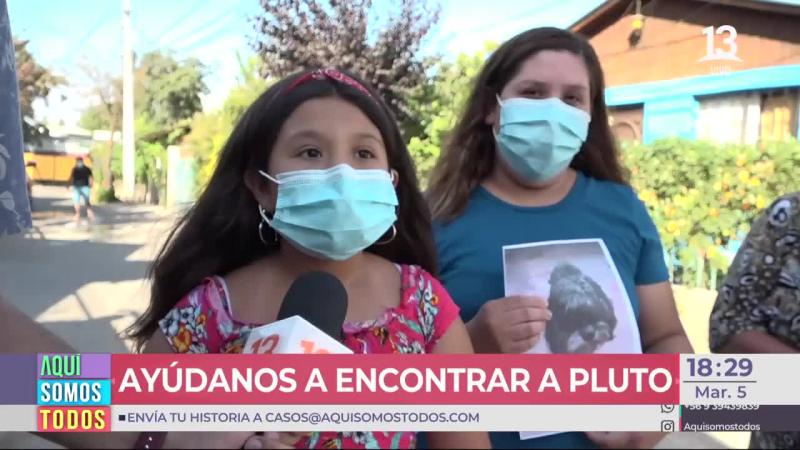 Niña que busca a su perro dio potente mensaje sobre la pirotecnia