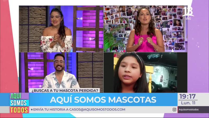 mascotas perdidas