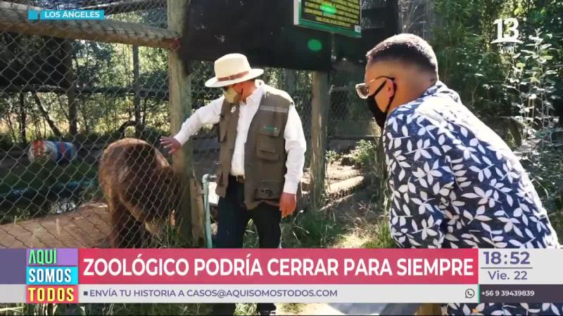 Zoológico en Los Ángeles sólo tiene comida para 15 días más
