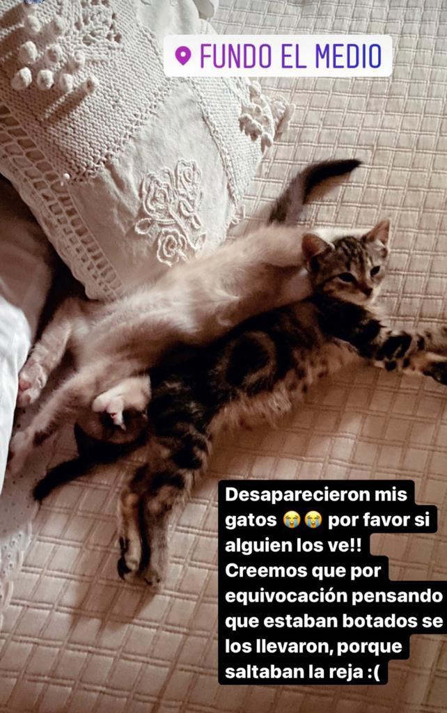 El drama que afecta duramente a Cota Castelblanco