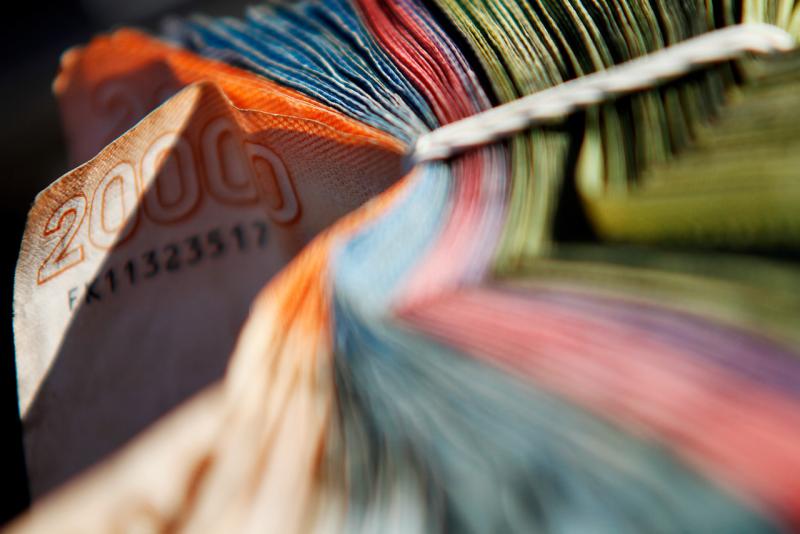 Ingreso Mínimo Garantizado