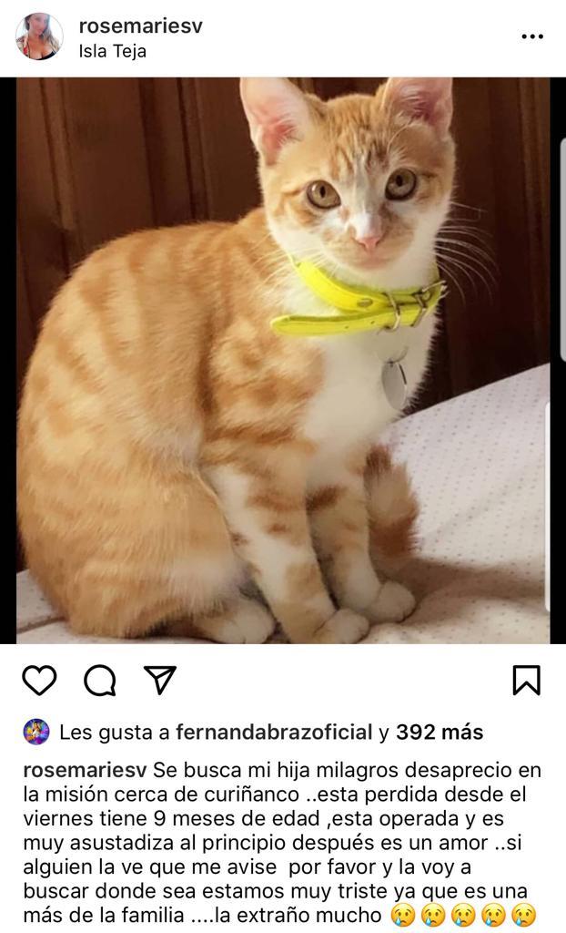 “Se busca mi hija”: Rosemarie de “Mekano” sufre por dura pérdida