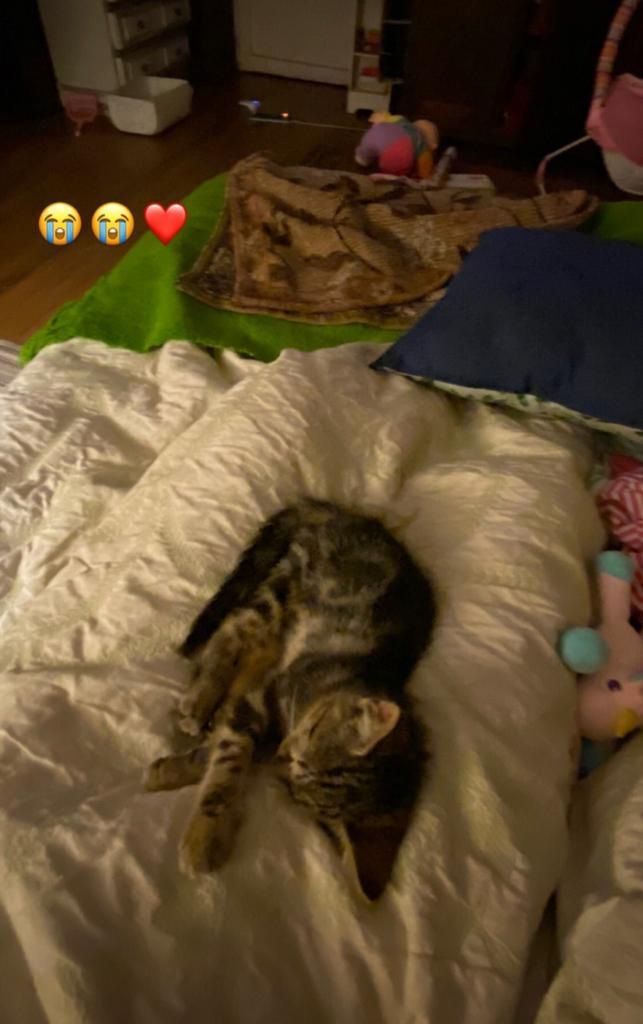 El drama que afecta duramente a Cota Castelblanco