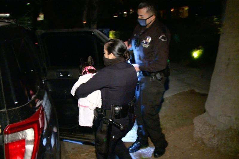 Perra de Lady Gaga Miss Asia rescatada