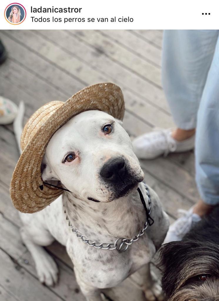 Daniela Castro lamenta la pérdida de integrante de su familia