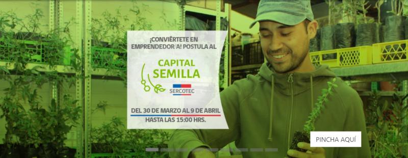 Capital Semilla