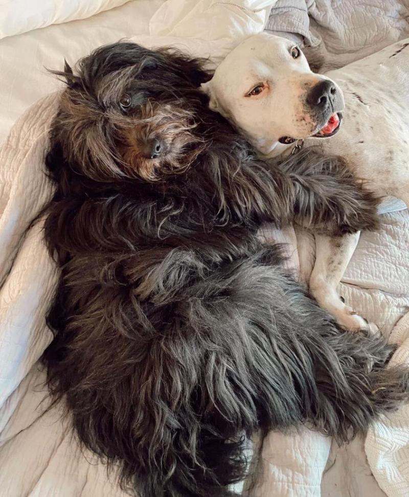 Daniela Castro lamenta la pérdida de integrante de su familia