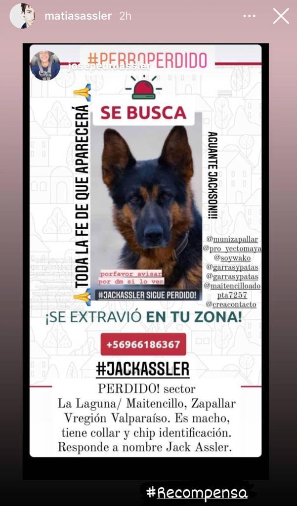 Matías Assler ofrece recompensa para encontrar a su perro