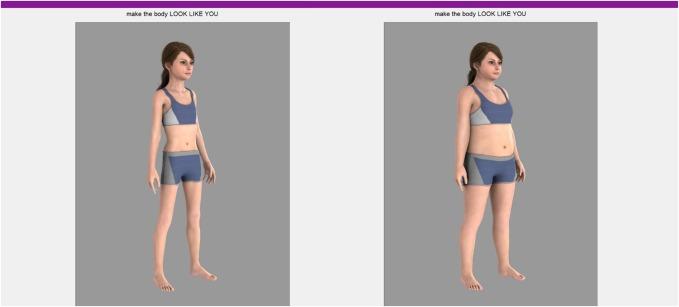 Imágenes usadas para el estudio