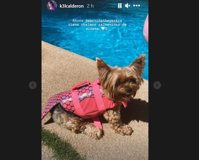 Perrita de Kel Calderón