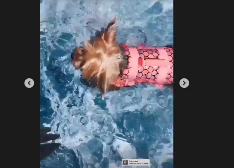 Perrita de Kel Calderón