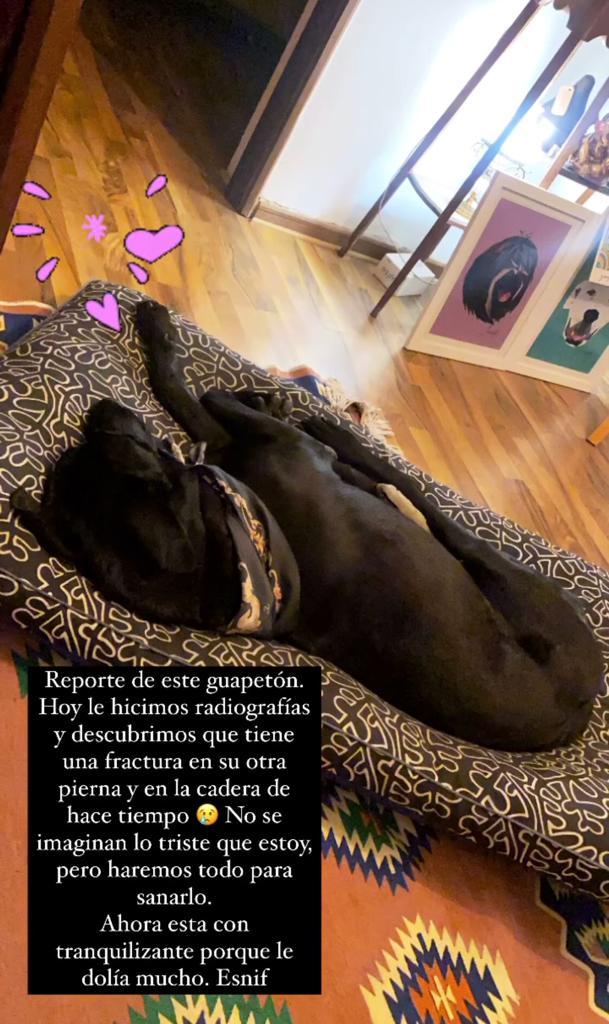 Daniela Castro se muestra al natural y agranda la familia