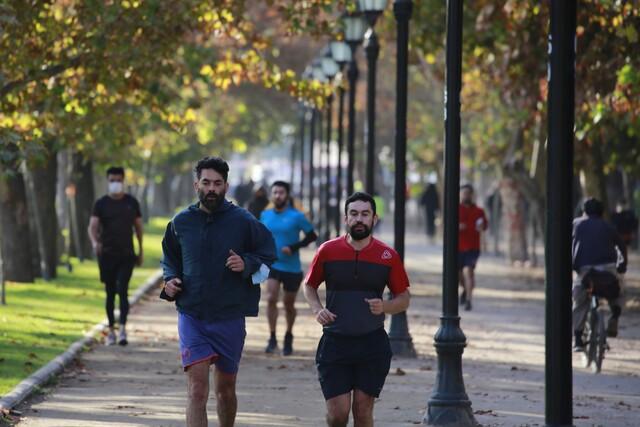 fortalecer el sistema inmunológico