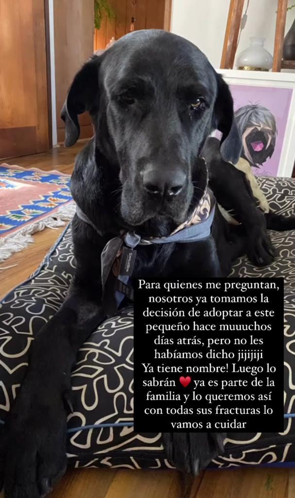 Daniela Castro se muestra al natural y agranda la familia