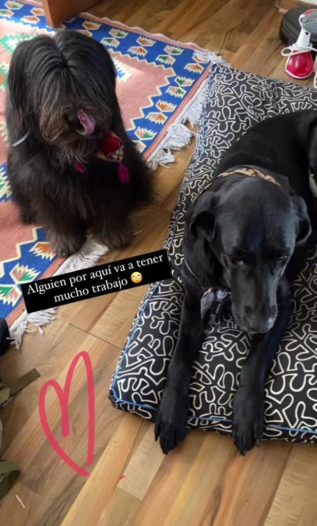 Daniela Castro se muestra al natural y agranda la familia