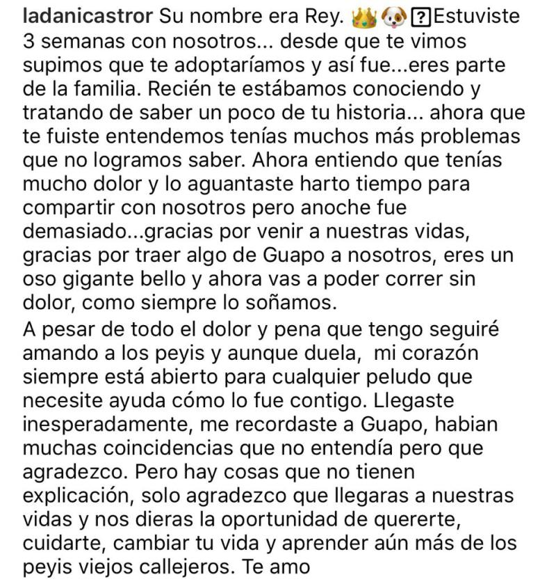 “Te seguiré amando”: Daniela Castro sufre por inesperada muerte