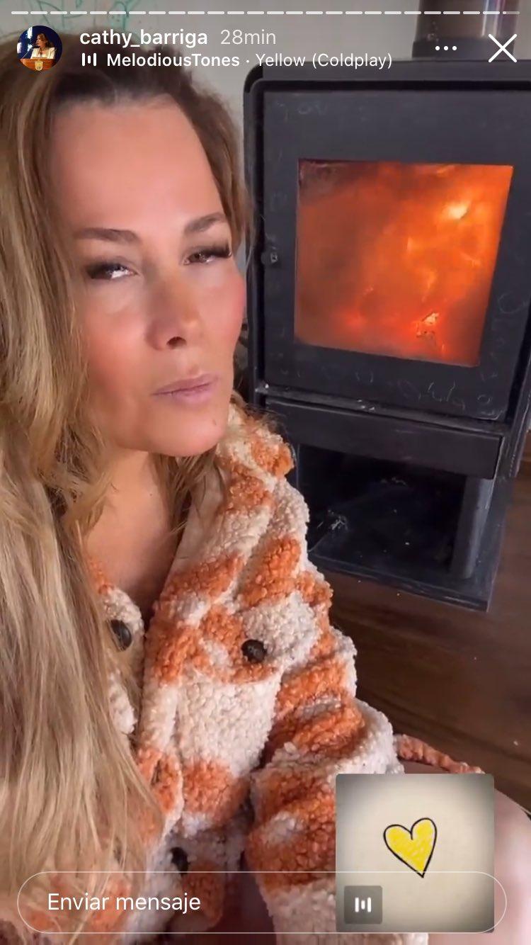 Cathy Barriga recibe duras críticas por usar estufa a leña