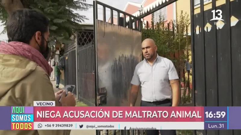 Caso de maltrato animal: PDI llegó hasta el lugar de la denuncia