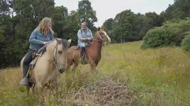 Cocina sin fronteras