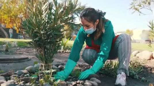 Jardinera de La Pintana