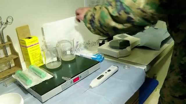 Pancho Saavedra presencia el proceso de inseminación