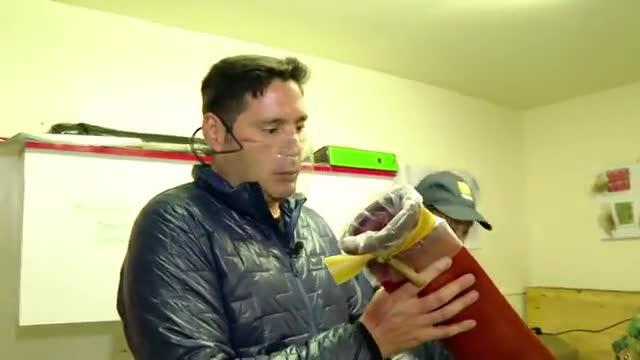 Pancho Saavedra presencia inseminación artificial de yegua