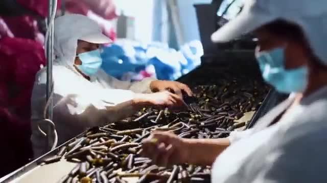 Alipio conoce industria de alimentos de cochayuyo