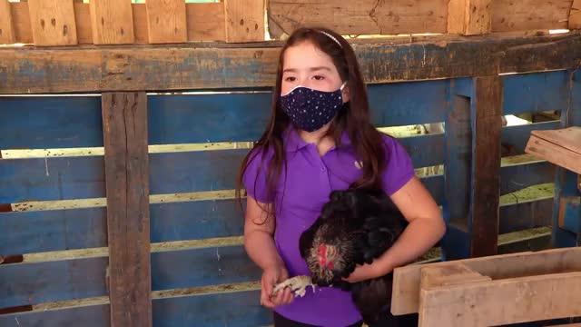 Pancho Saavedra conoce a Emilia