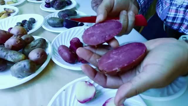 Alipio Vera conoce variedades de papas