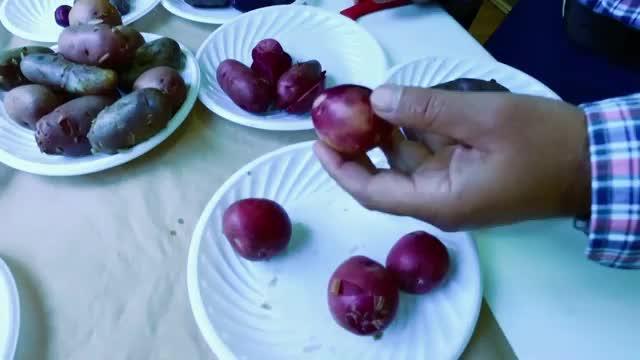 Alipio Vera conoce variedades de papas