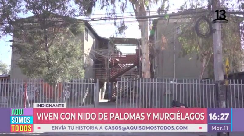 Vecinos de Bajos de Mena denuncian graves daños en sus departamentos