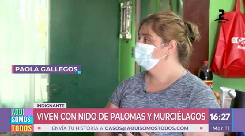 Vecinos de Bajos de Mena denuncian graves daños en sus departamentos