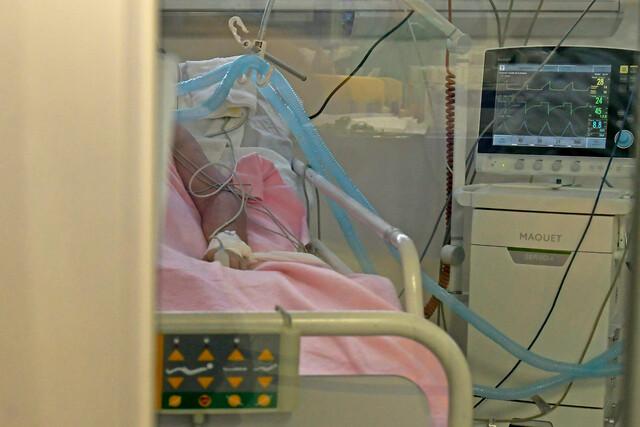 Colegio de Matronas preocupado por alza de muertes maternas