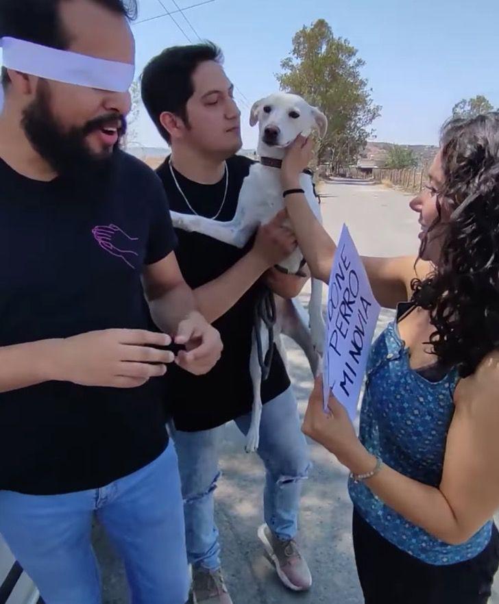 Mujer deja a su novio por abandonar a su perra por no ser de raza