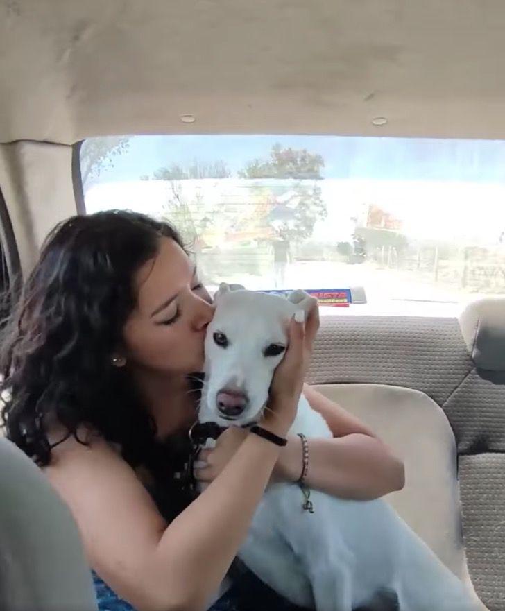 Mujer deja a su novio por abandonar a su perra por no ser de raza