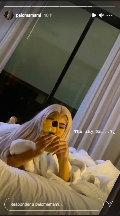 Ricky Martin confirmó inesperada colaboración con Paloma Mami