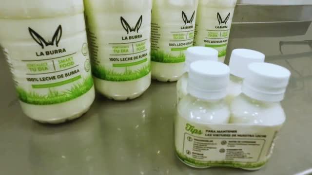 Leche de burra en el sur de Chile