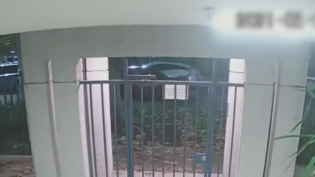 SOS: Joven choca a delincuentes y derriba portón para evitar portonazo