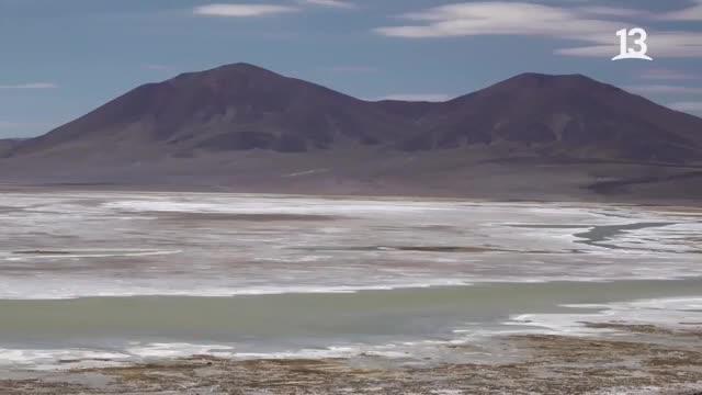Claudio Iturra visita el Salar de Huasco