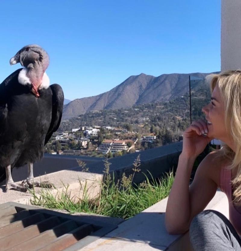 Fotos de Carla Ochoa reflotan su romance con Felipe Camiroaga