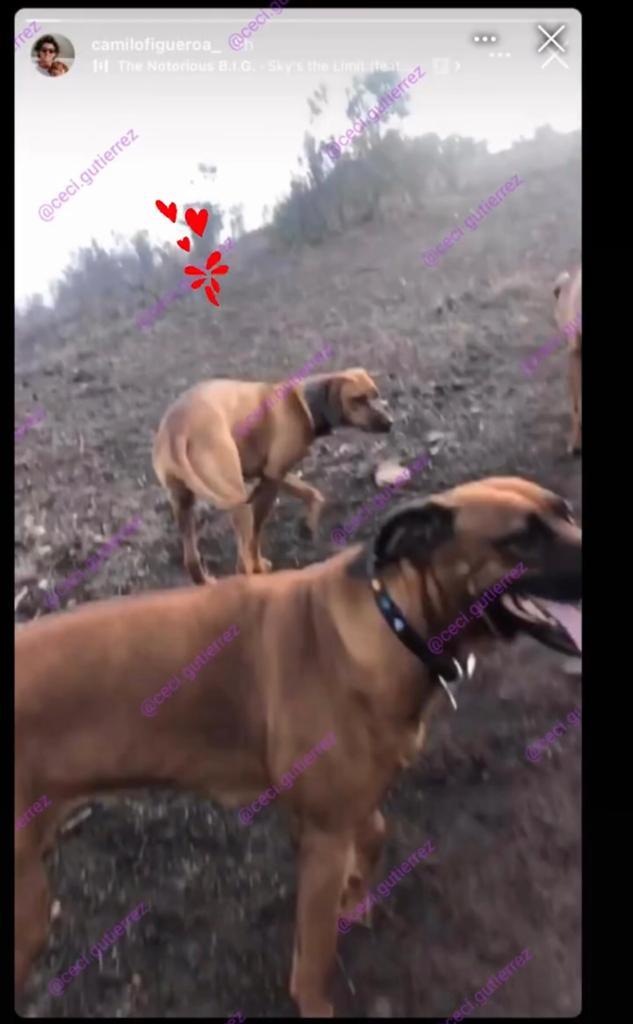 Mayte Rodríguez estaría reconciliándose con su novio empresario